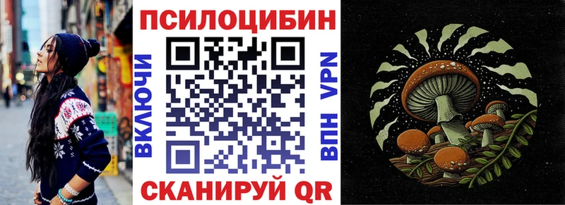 Галлюциногенные грибы прущие грибы  Сунжа 